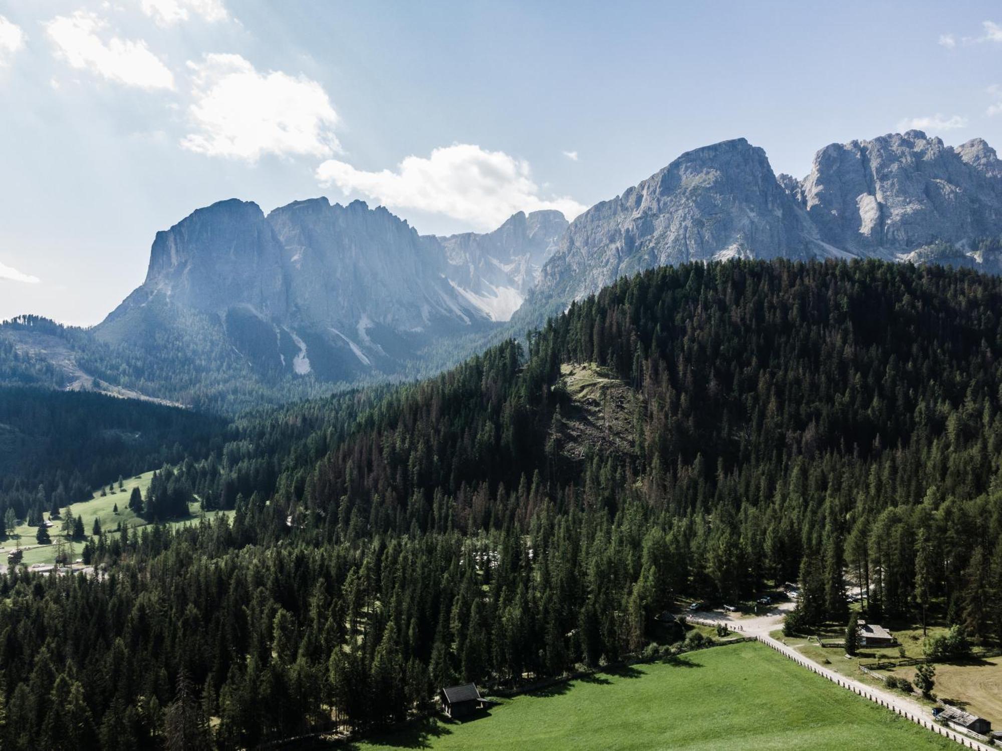 Hotel Pension Odles San Martino in Badia Esterno foto